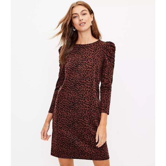 NWT Womens Size Medium Ann Taylor LOFT Leopard Print Ruched Sleeve Dress NEW - Picture 1 of 3